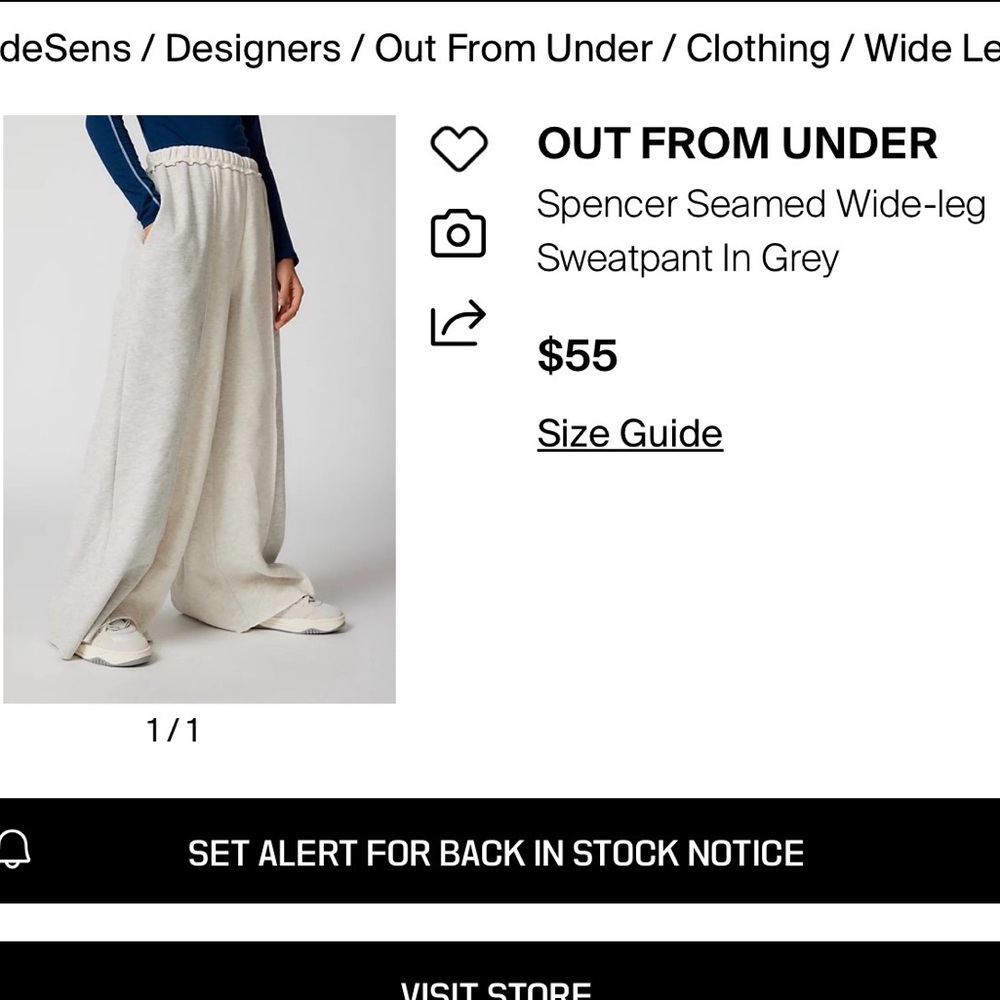 Urban Outfitters Seamed Gray Wide-Leg Pants